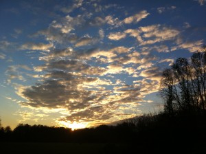 Sloterpark sunset (foto by Ute Passionflower Apfelstedt)