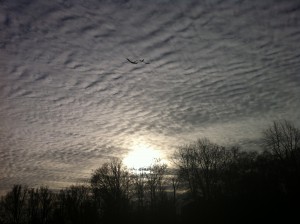 Moving Sky   (foto by Ute Passionflower Apfelstedt)