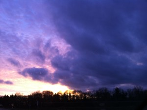 purple sky (foto by Ute Passionflower Apfelstedt)